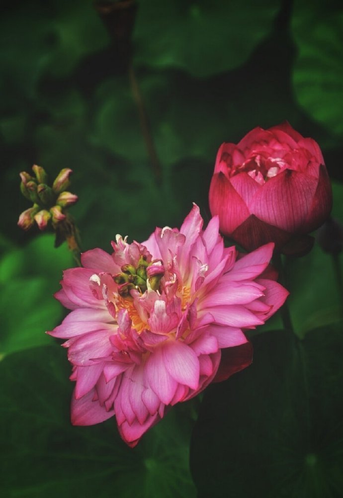 为什么感情不顺_感情淡了.没有感情可以_感情背感情背叛的说说