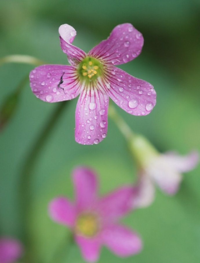 感情淡了.没有感情可以_为什么感情不顺_感情背感情背叛的说说