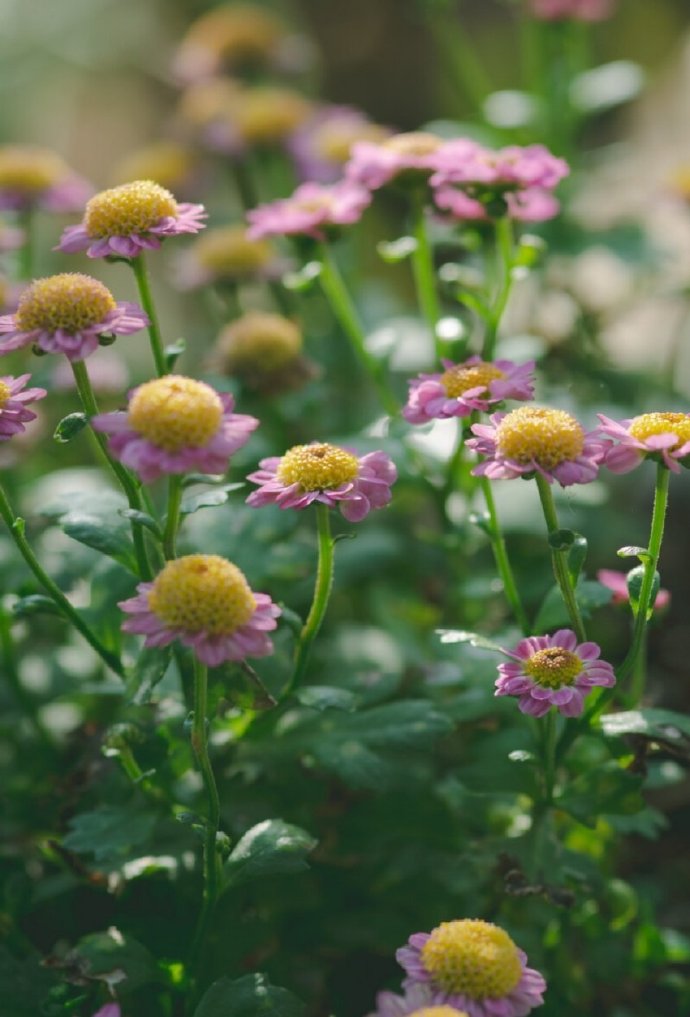 感情背感情背叛的说说_感情淡了.没有感情可以_为什么感情不顺
