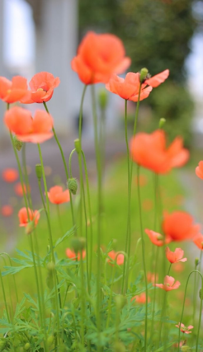 感情背感情背叛的说说_感情淡了.没有感情可以_为什么感情不顺