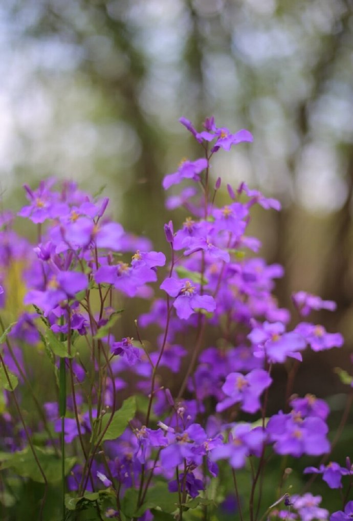 感情淡了.没有感情可以_感情背感情背叛的说说_为什么感情不顺
