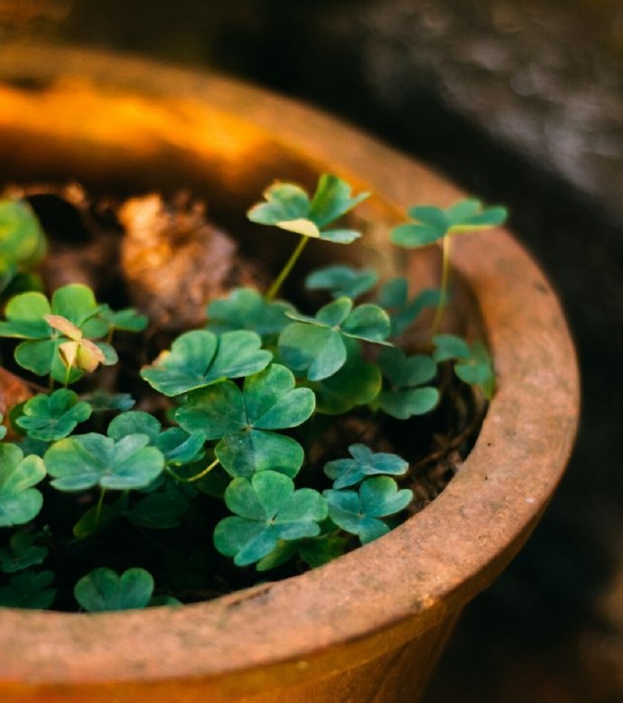 感情背感情背叛的说说_感情淡了.没有感情可以_为什么感情不顺